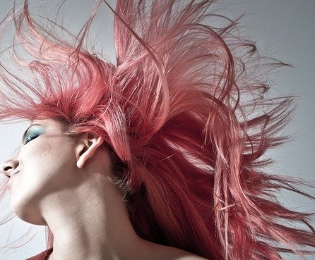 Meus cabelos, minhas&nbsp;regras!